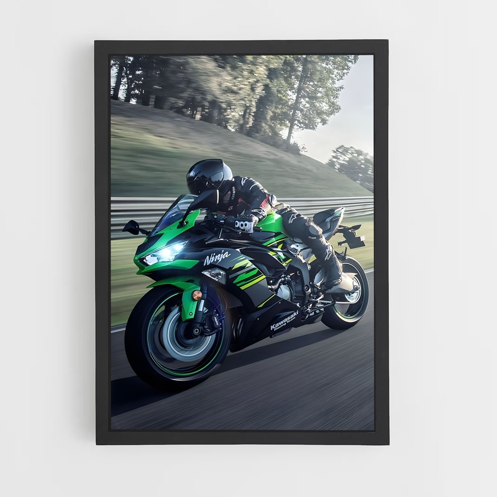 Poster Guerrier Audacieux (vue 2)